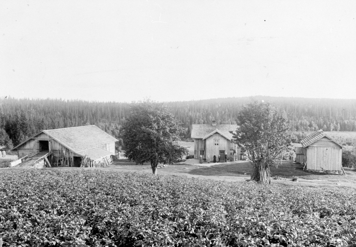 Anno Domkirkeodden, Eksteriør, ukjent gårdsbruk, Åsmarka, Ringsaker.