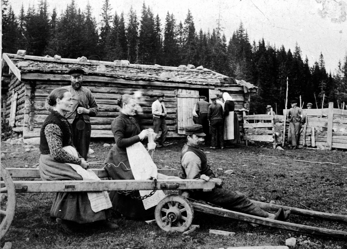 Anno Domkirkeodden, Eksteriør, seterfjøset til Hersaug seter på Gammelskolla, Ringsakerfjellet. Foran fra venstre er Berte Mikkelsen, Mina Olsen Sveen, Peder Mikkelsen Bjørklund. Bak til venstre er Johannes Tolvstad Halset, ved døra med skaut er Julie Dahl. Størhuset sto til venstre og ble delt med Fuglseng legatgård.