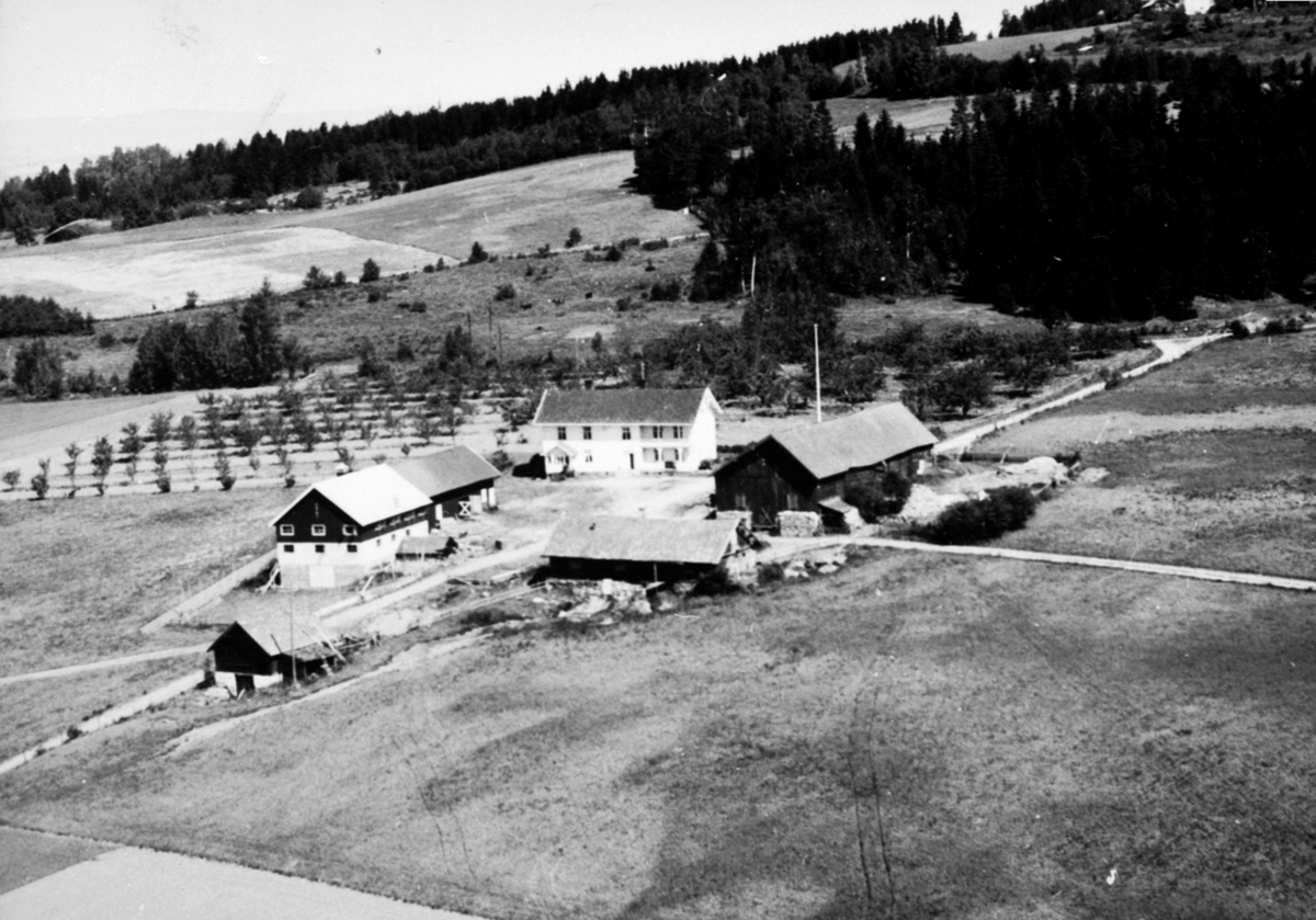 Anno Domkirkeodden, Flyfoto, gardsbruk, Trosterud, Helgøya.
