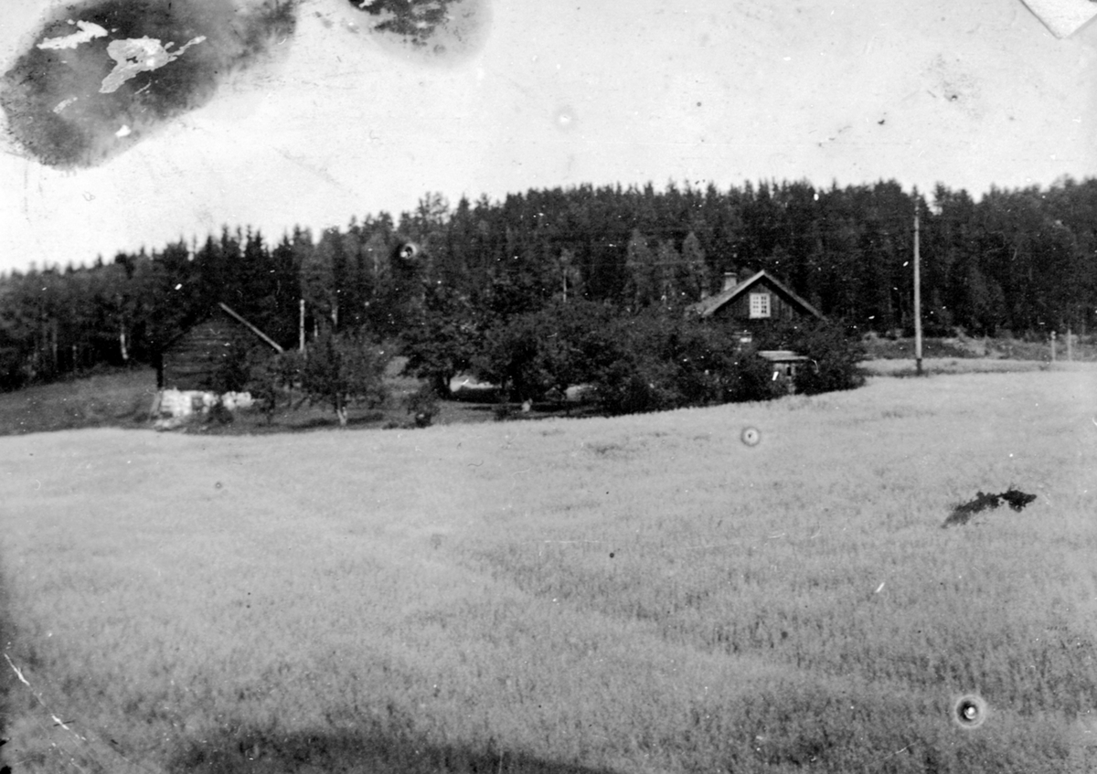 Anno Domkirkeodden, Enger, Helgøya med den gamle låven. Hovedbygningen brant ned omkring 1905.