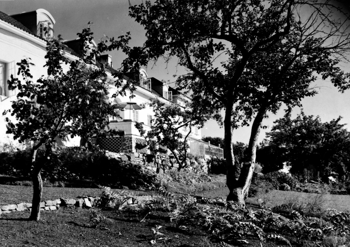 Anno Domkirkeodden, Hovedbygningen på Hovinsholm, Helgøya sett fra hagen. Med terasse og vinterhage.