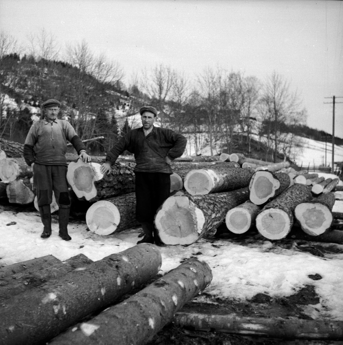 Anno Domkirkeodden, 2 tømmerhoggere, tømmerlunne, skogsarbeidere for Berger Langmoen A/S, Brumunddal.