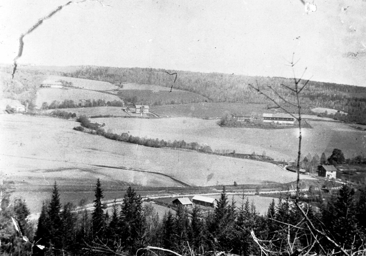 Anno Domkirkeodden, Utsikt over Løkjedalen mot Tokstad gård og Båberg gård, Præstvægen med husmannsplass i forgrunn, Veldre, Ringsaker.