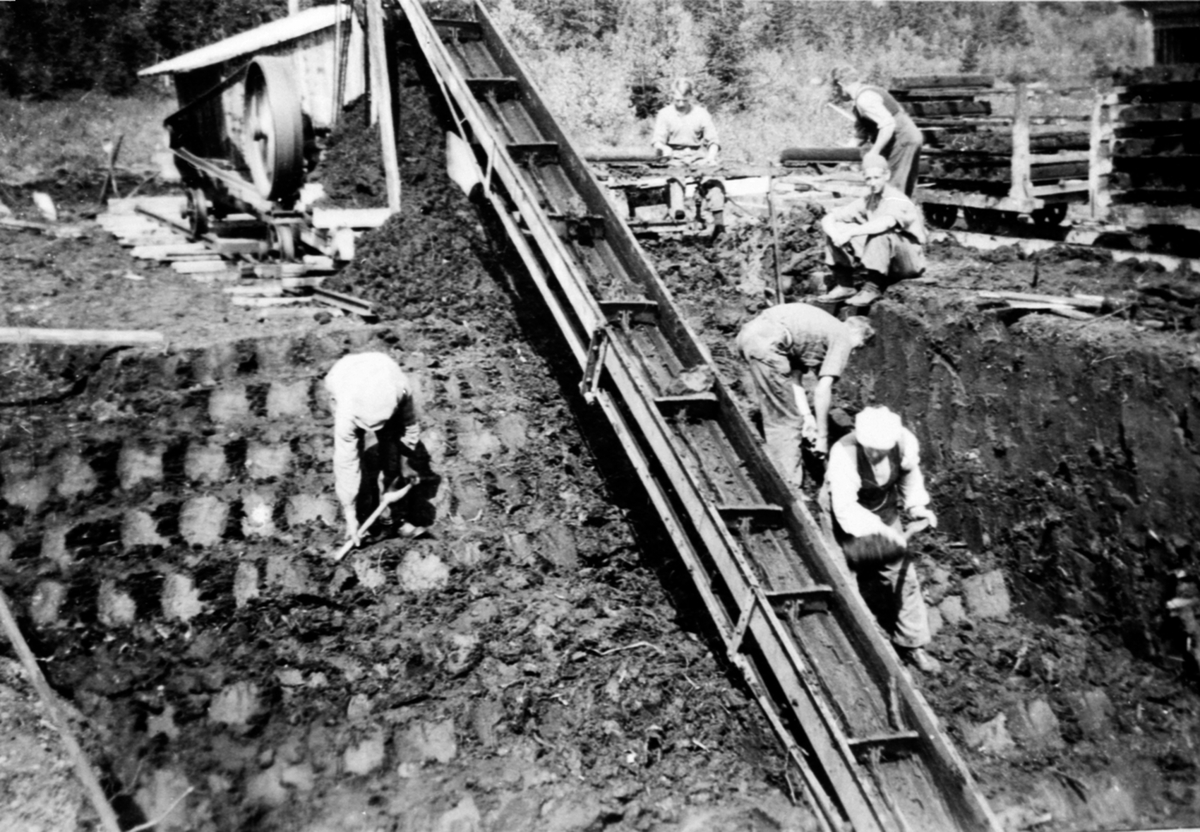 Anno Domkirkeodden, Brenntorvproduksjon på Brennerimyra, Høsbjørmarka, Ringsaker. Folk arbeider ved transportbånd.