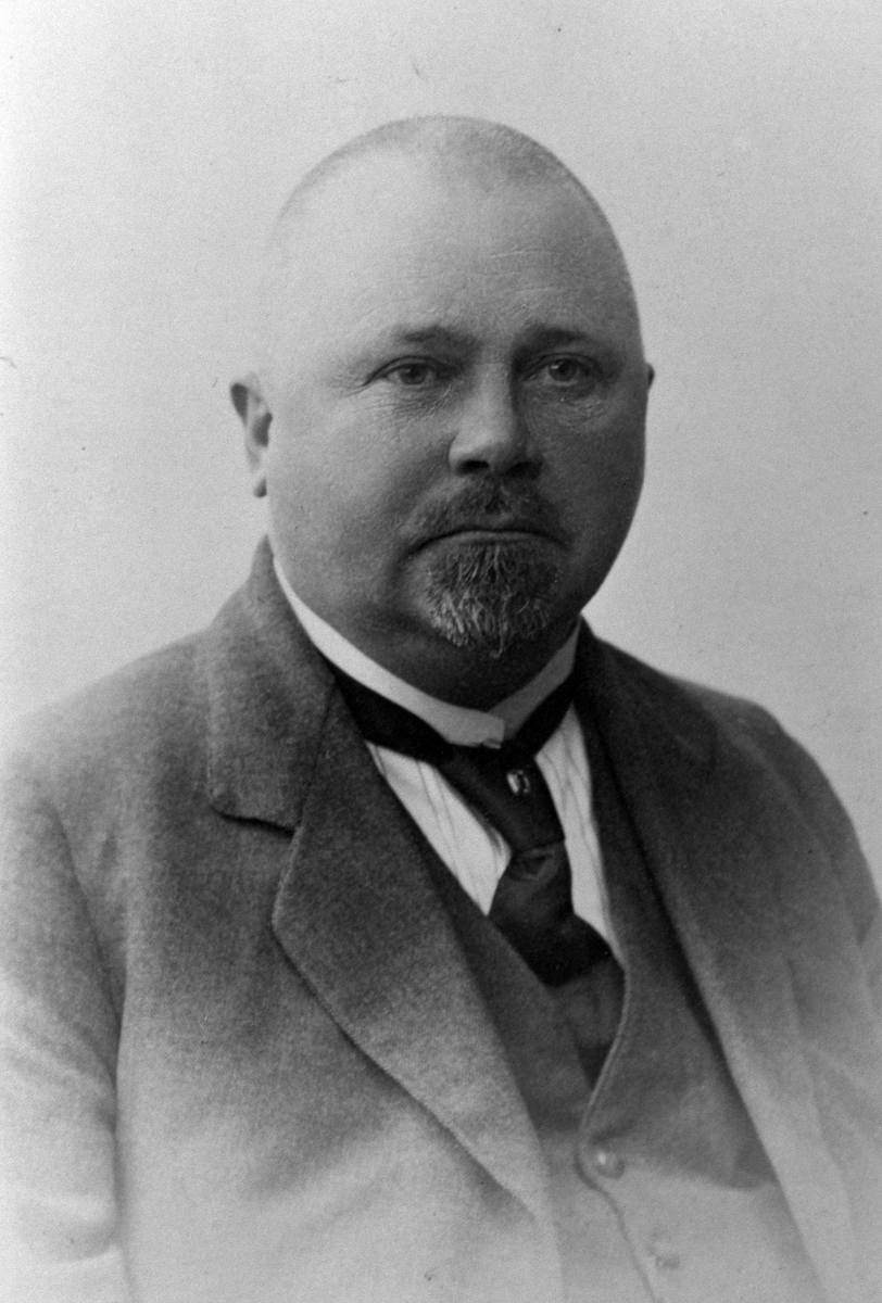 Anno Domkirkeodden, Eilert Jørgen Hoel (1868-1928), gardbruker på Hovinsholm, Helgøya.