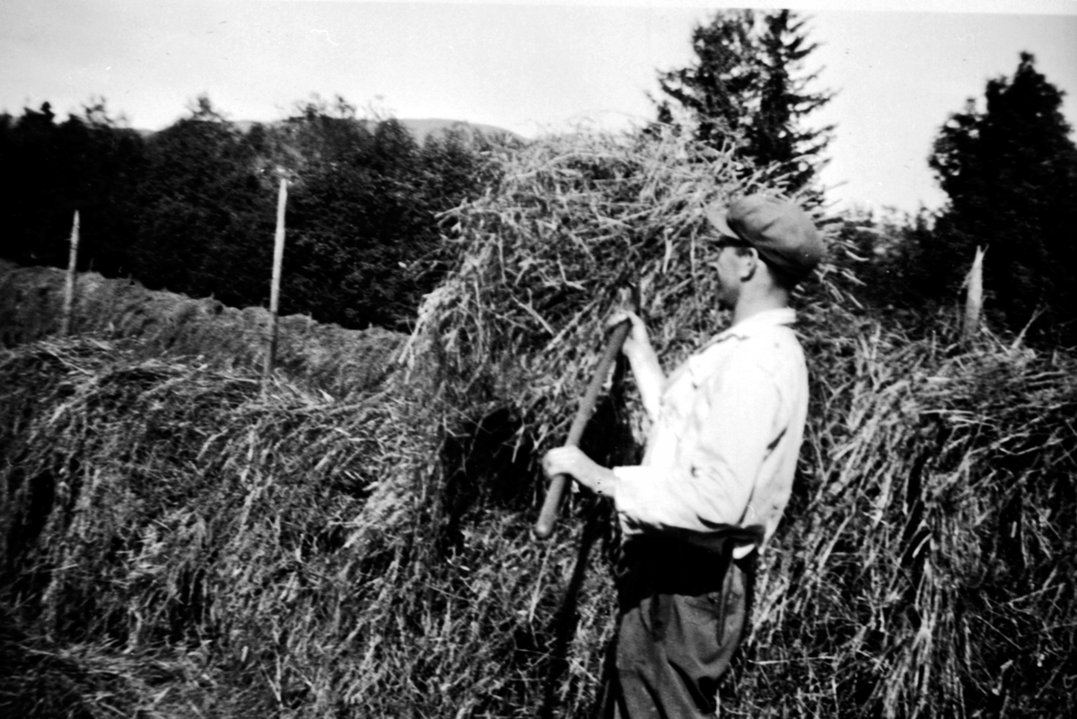 Anno Domkirkeodden, Høyonn, hesjing, Eugen Olsen med høygaffel på Bangsberg, Ringsaker.