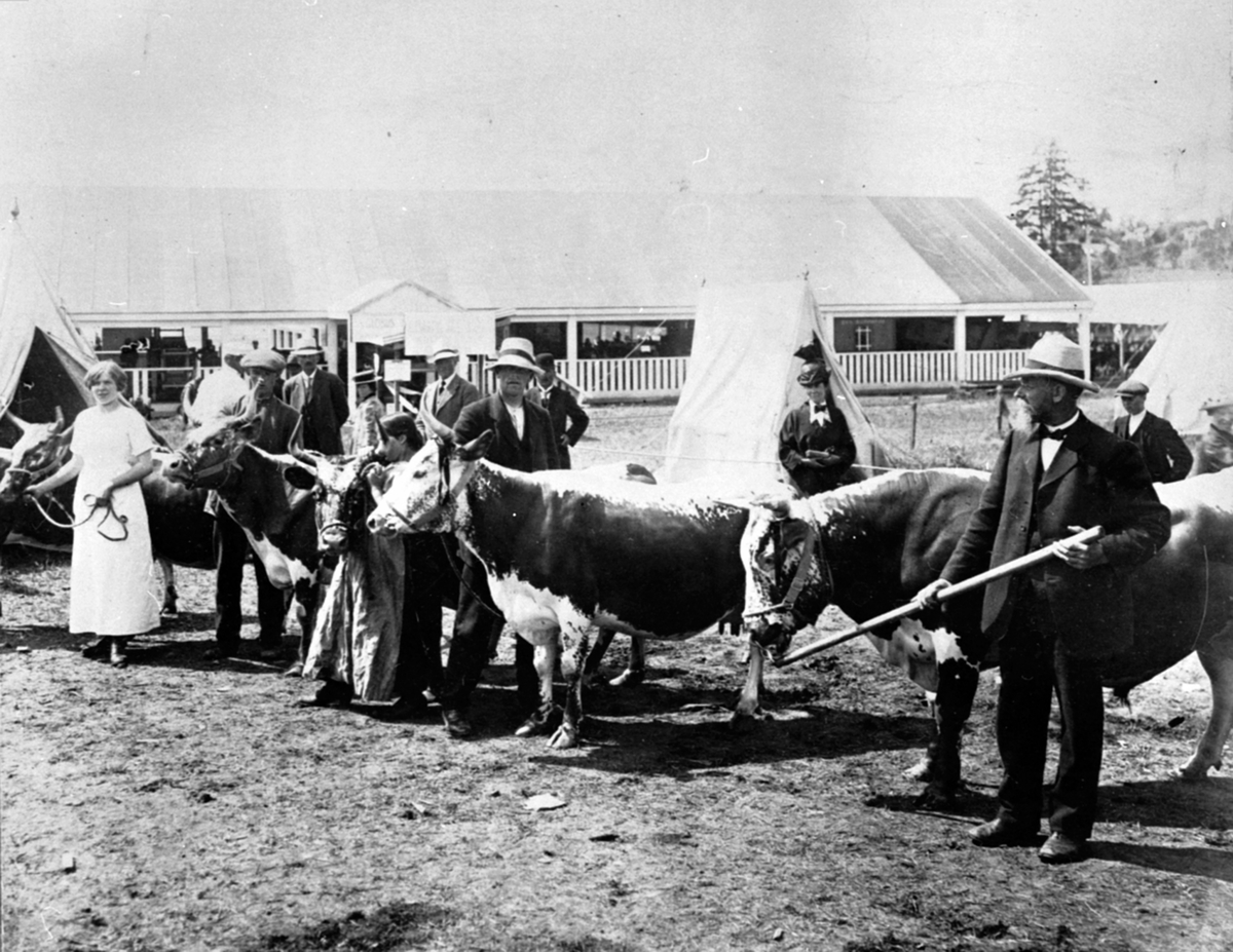 Anno Domkirkeodden, Jubileumsutstilling i Kristiania med visning av telemarksku. Til høyre er Olaus Jensen Narmo (1861-1950) fra Vien, Helgøya. I midten er Jens Olaussen Narmo (1886-1989).