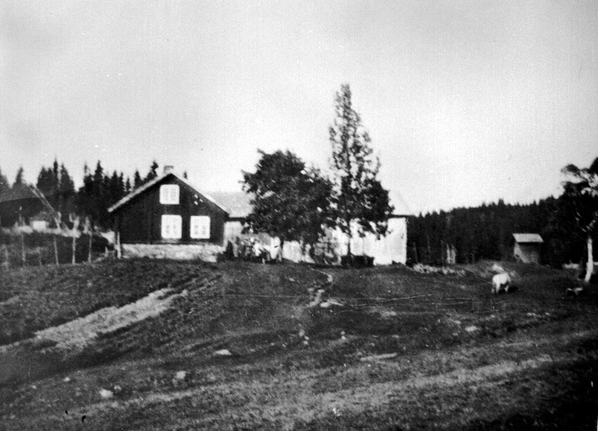 Anno Domkirkeodden, Ukjent bruk, Ringsaker.