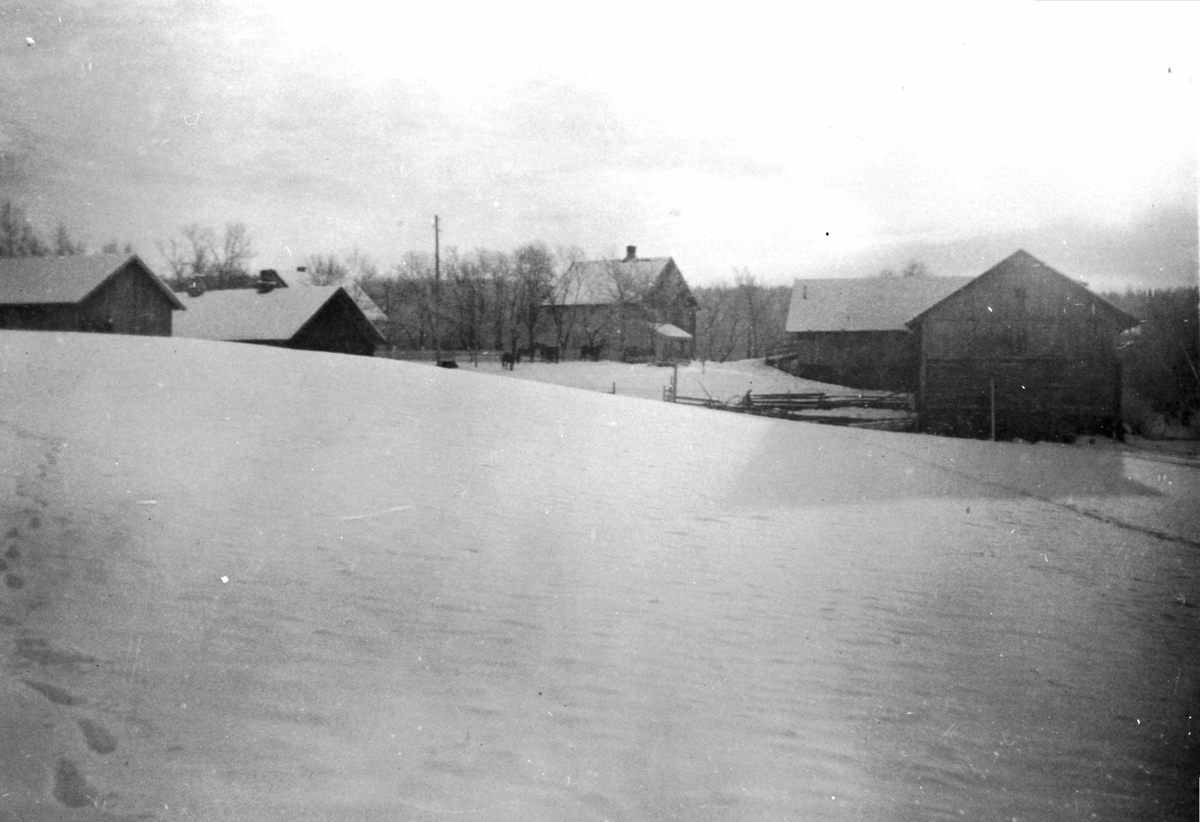 Anno Domkirkeodden, Oversikt, gardsbruk, Steinsrud gård, Gaupen, Ringsaker.