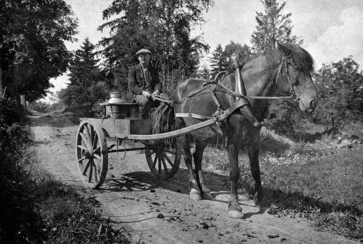 Anno Domkirkeodden, Harald Braanaas kjører melk med hest og kjerre i Ambsgutua, Heramb, Ringsaker.