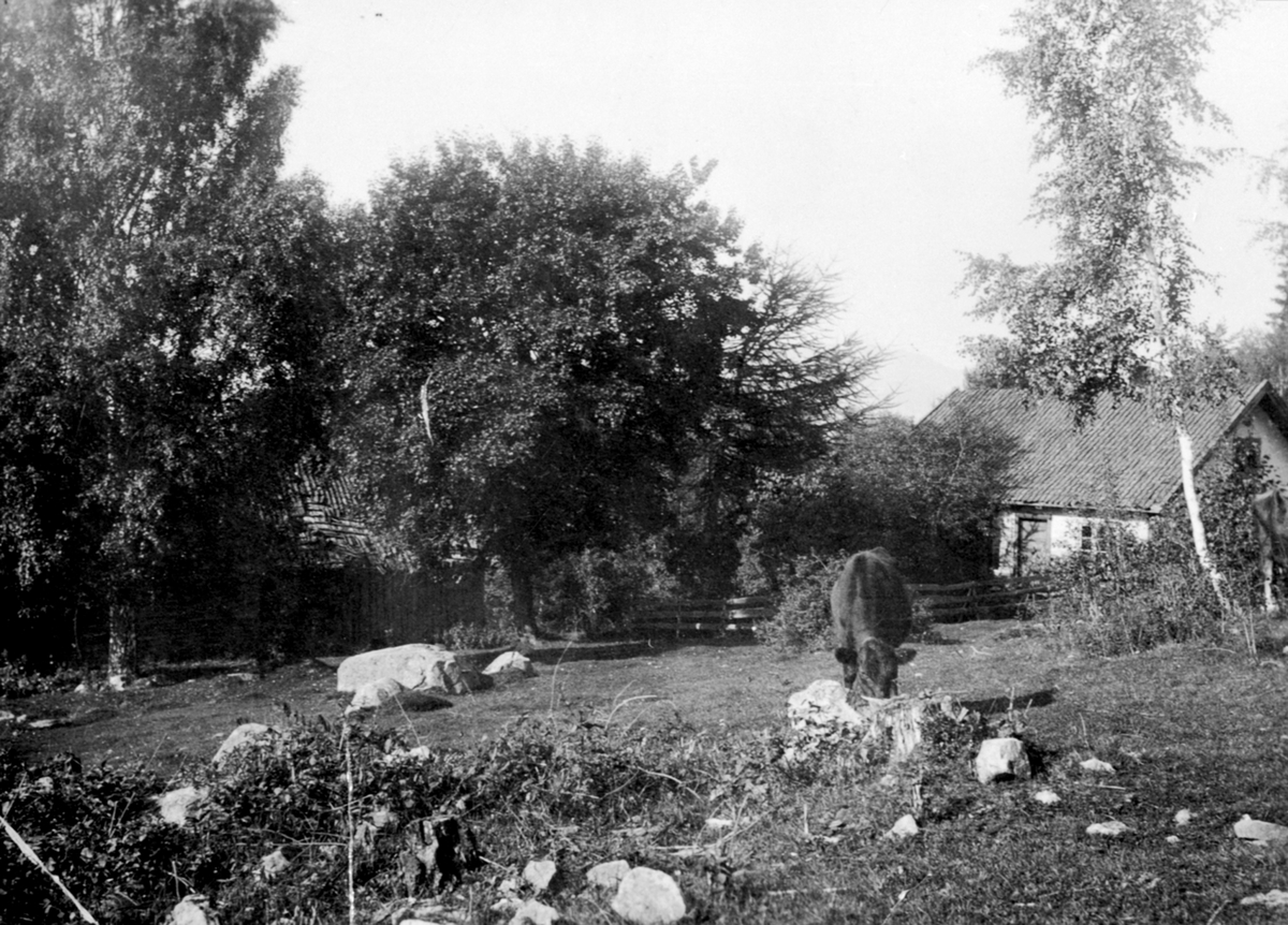 Anno Domkirkeodden, Eksteriør, husmannsplass, Bådshus nedre under Vinju gård, Ringsaker, idag fritidsbolig.
