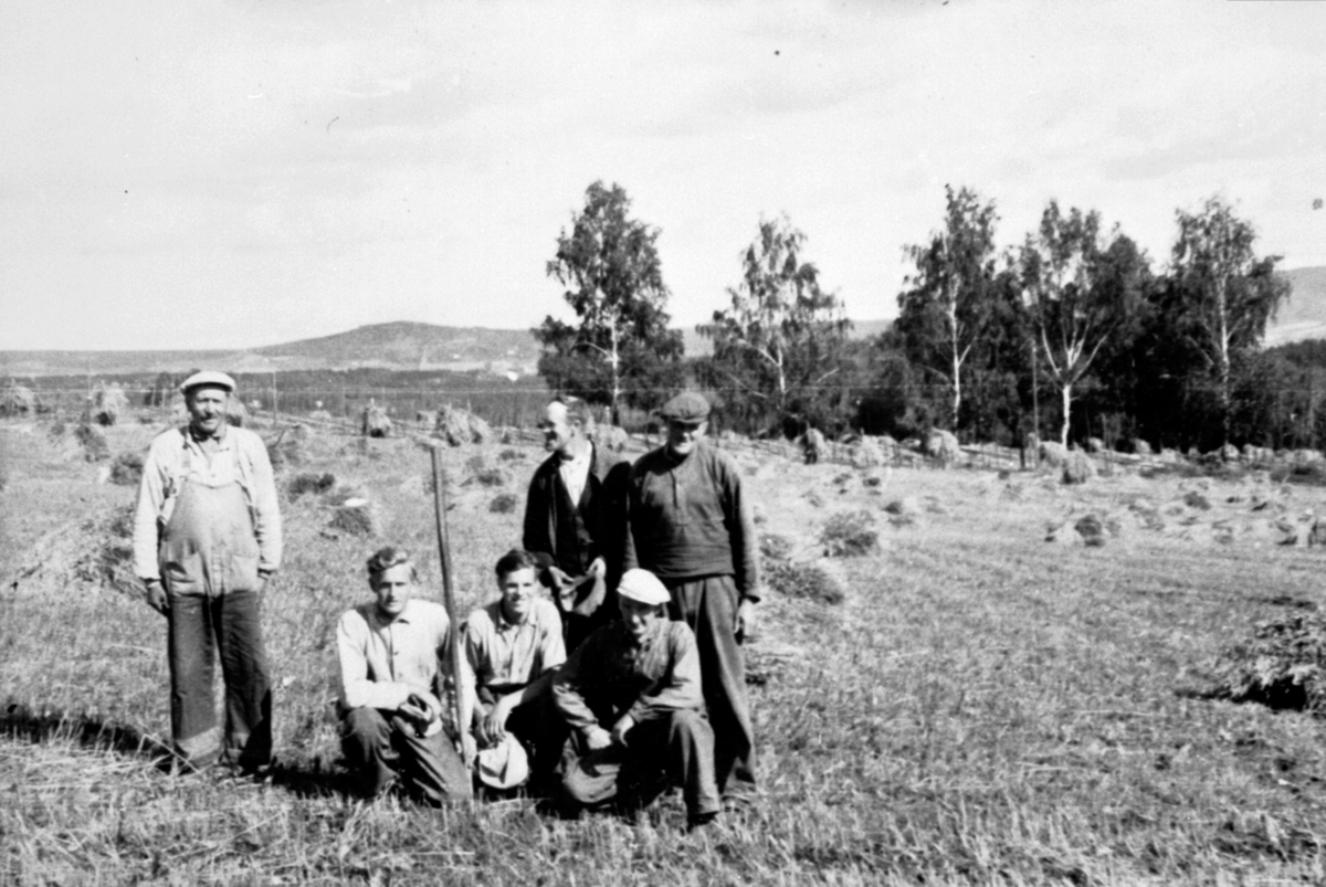 Anno Domkirkeodden, Gruppe menn arbeider på åkeren på Kolstad østre, Veldre, Ringsaker. Fra venstre er Torvald Ramstad, Ole Olstad, ukjent, Johannes Kristiansen, bak er Kåre Olstad,