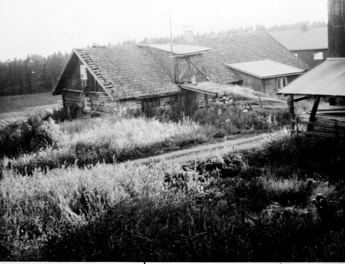 Anno Domkirkeodden, Det gamle tømmerfjøset på Trosterud, Helgøya, som ble revet i 1975.