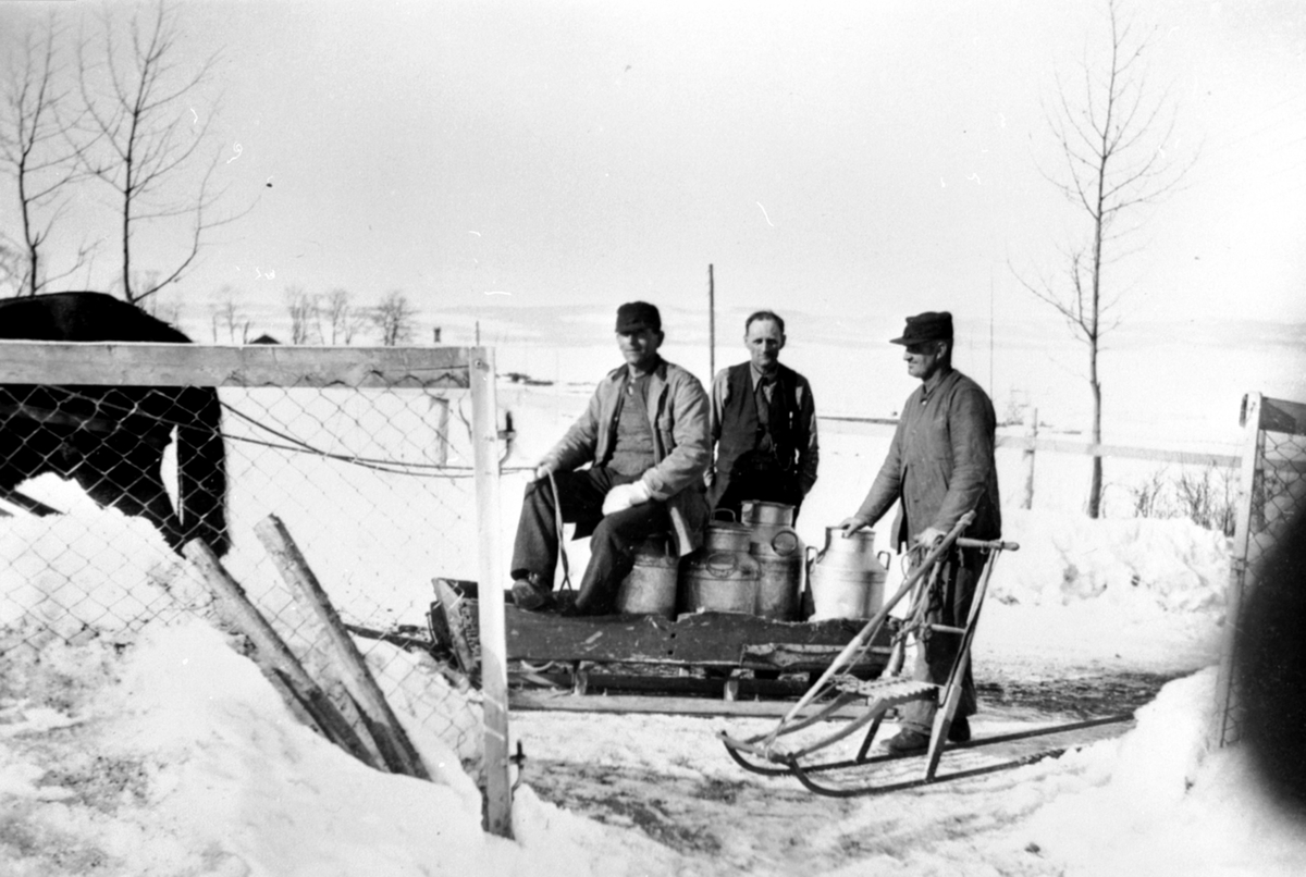 Anno Domkirkeodden, Mjølkekjøring med hest og slede til Sundgård, Helgøya. Fra venstre er Hans Mathiasen Staff (1890-1978), Johan August Sund (1891-1963), bryggeekspeditør Karl Ivar Sund (1886-1971). Karl hadde ansvaret for isvegen over til Tingnes hvis isen la seg.
