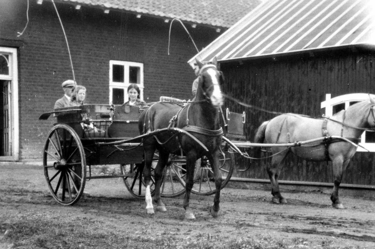 Anno Domkirkeodden, Hest med trille utenfor hønsehuset på Hoel gård, Nes, Hedmark. Margrethe Louise (Babs) Kildal Borchrevink i trillen. Det nye hønsehuset har enda ikke fått taksten.
