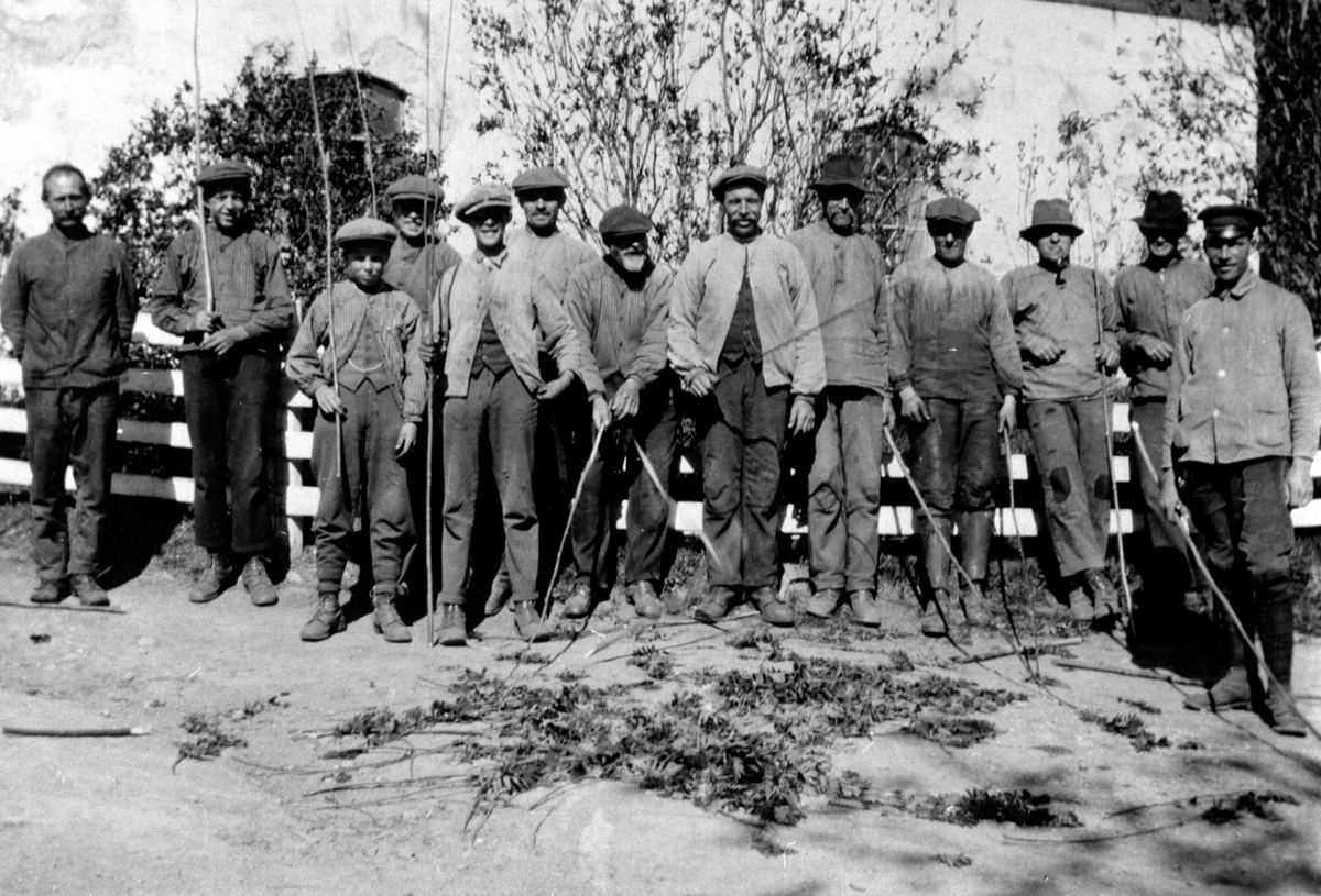 Anno Domkirkeodden, Gruppe arbeider med kjepper etter kuslepp på Grefsheim, Nes, Hedmark. Fra venstre er Ludvig Johansen, Kristian Johansen, Lars Munkviken, Alf Kampenhøi, Ludvig Larsen, Jørgen Bakken, Kristian Bakken, Johannes Tangen, Johan Engen, Einar Søberg, Ole Bøvolden, Rudolf Larsen og kusk Lundin.