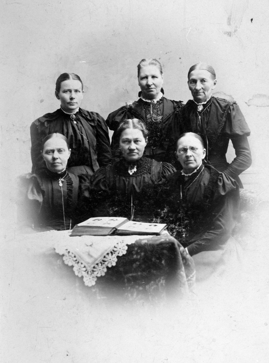 Anno Domkirkeodden, 6 damer i studio. Trine Sterud, Birgitte Katrine Sterud (1858-1938), Oline Fossum f.1848, Mari Fossum f.1844, Mina Skinstad f.1845, Oline Skinstad f.1875, Nes, Hedmark.