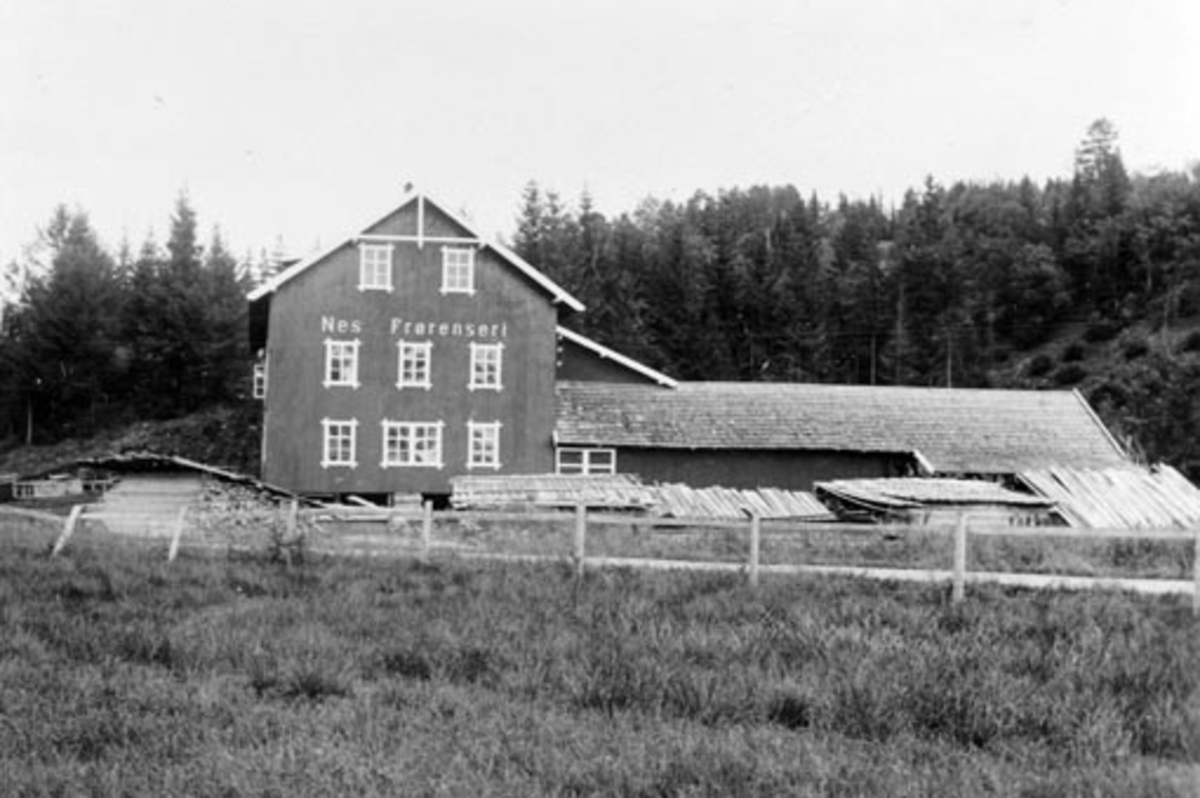 Anno Domkirkeodden, Eksteriør, Nes korn og frørenseri, Nes, Hedmark.