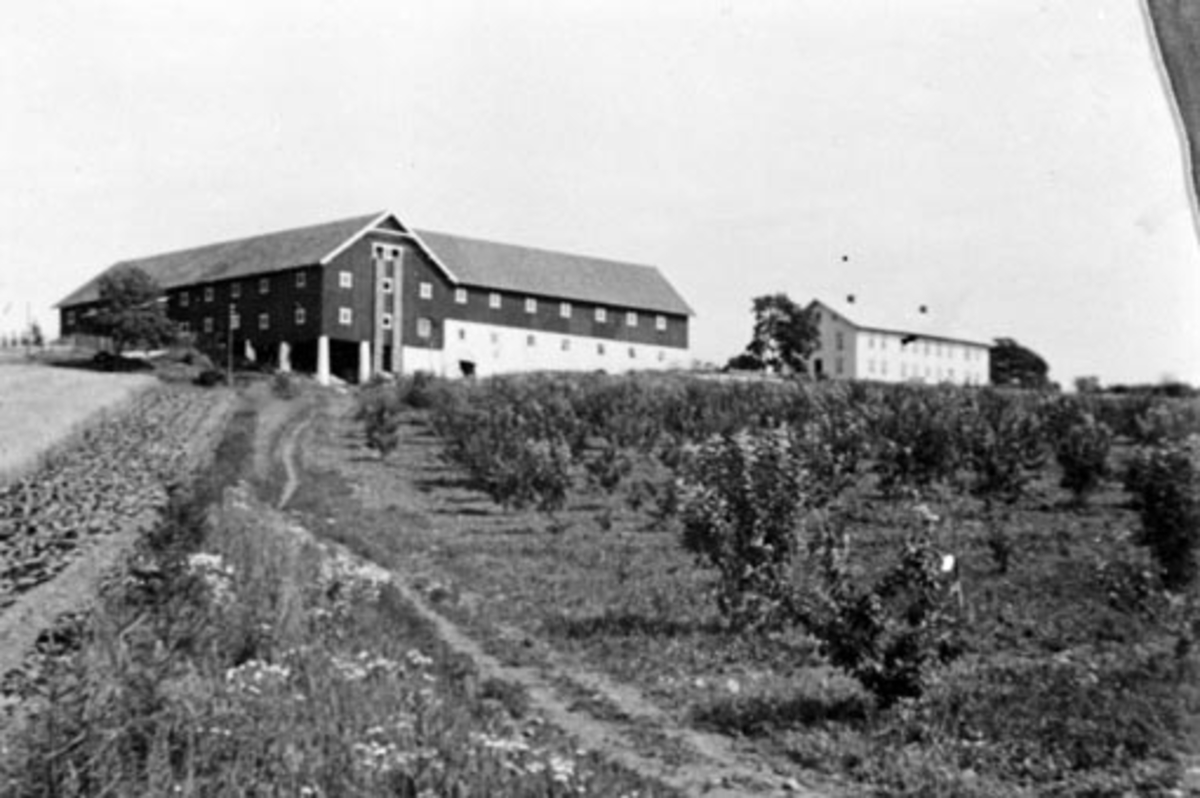 Anno Domkirkeodden, Garden Fossum, Nes, Hedmark med nye uthus.