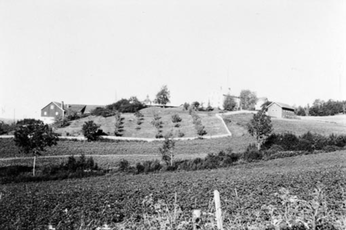 Anno Domkirkeodden, Baldishol østre sett fra hagen på Bjørnstad, Nes, Hedmark.
