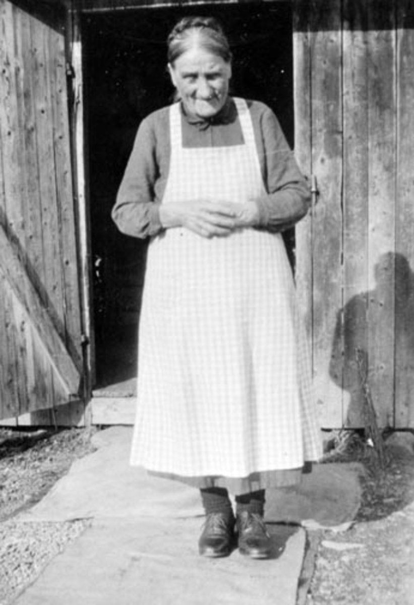 Anno Domkirkeodden, Portrett av Helene Hansen f.1862 i Veldre. Husholderske hos skomaker Ole Hauglien i Brobakken, Stavsjø, Hedmark.