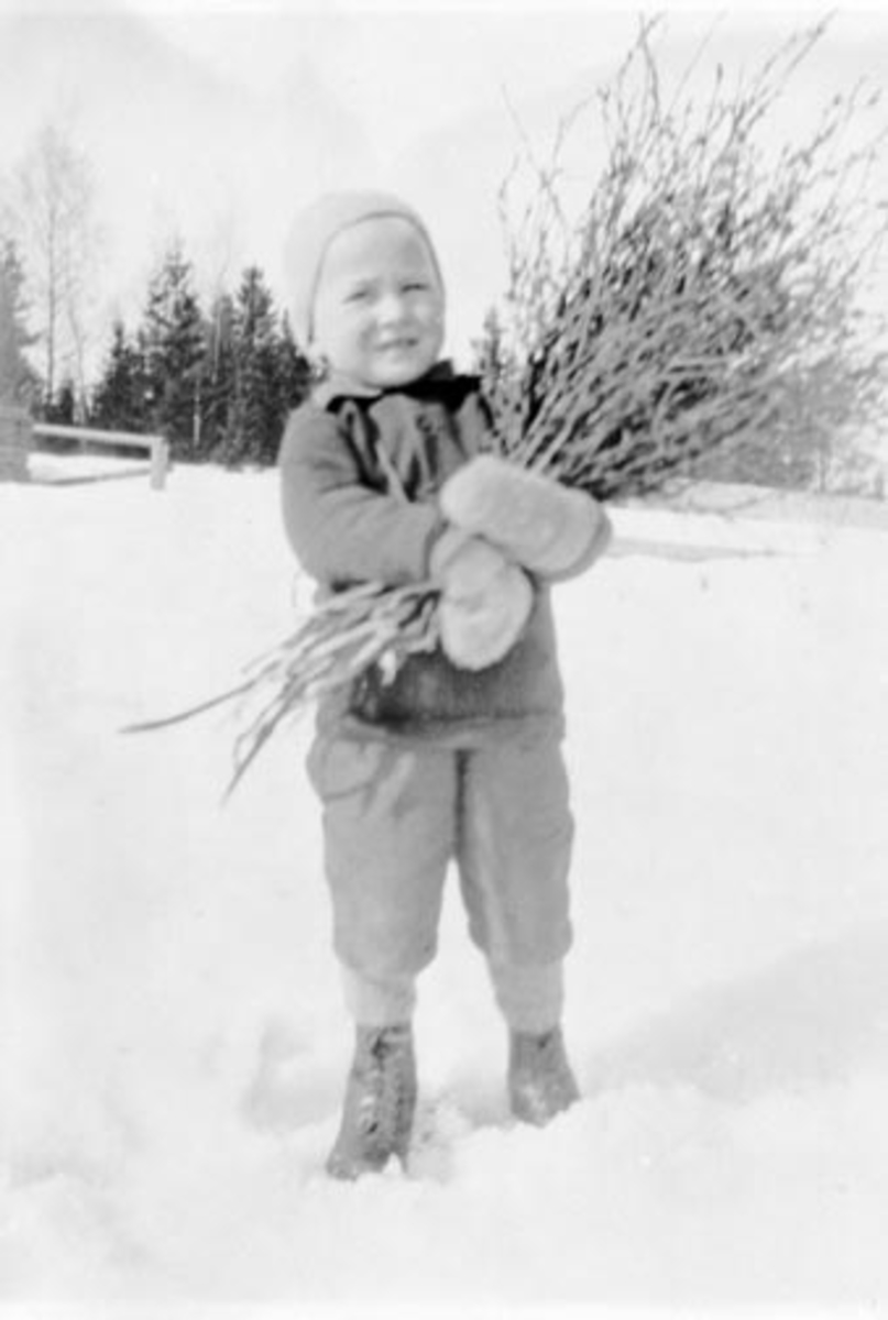 Anno Domkirkeodden, Liten gutt samlet bjørkeris til sopelime på Duenger, Nes, Hedmark. Gutten er Einar Duenger f.1923.