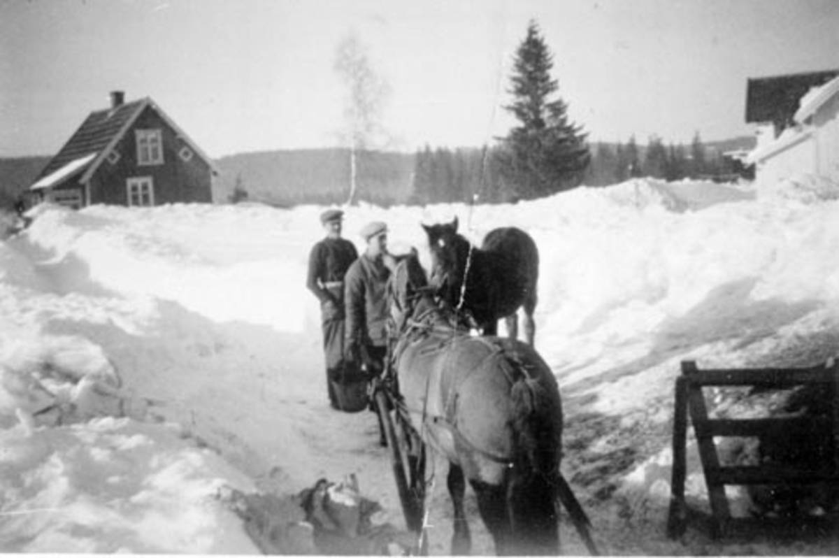 Anno Domkirkeodden, Jørgen Olsen (1873-1961) og Kristian Johansen Aarvold f.1904 med hester på Aarvold, Stavsjø, Hedmark. Vinter.