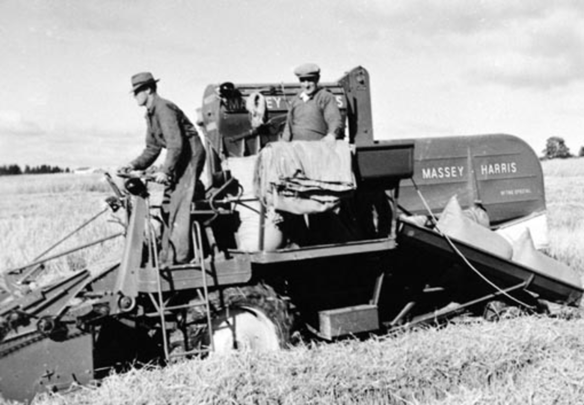 Anno Domkirkeodden, Skuronn. Skurtresking med innkjøpslagets skurtresker av merke "Massey Harris". Magne Hagen kjører, Torvald Brenden står bak og knyter sekker. Hulleberg øvre, Nes, Hedmark.