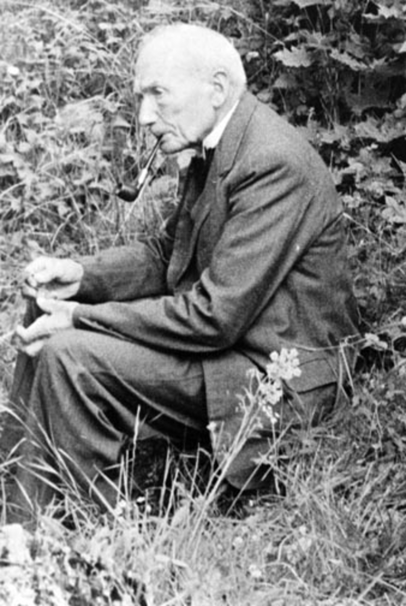 Anno Domkirkeodden, Portrett, lærer Jens Johannesen Myre (1865-1952), lærer på Nes og Hamar. Myre, Nes, Hedmark.