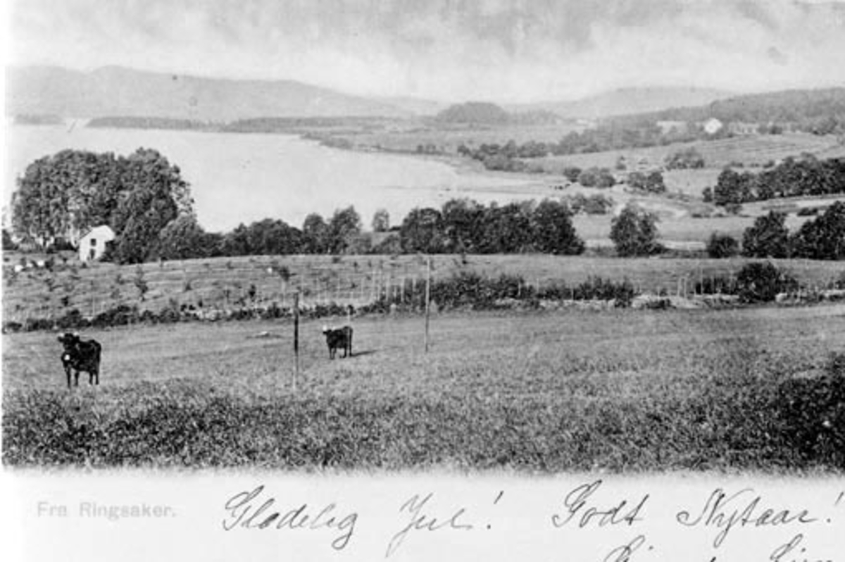 Anno Domkirkeodden, Landskap ved Ringstrand, Ringsaker. Mjøsa og Biri.