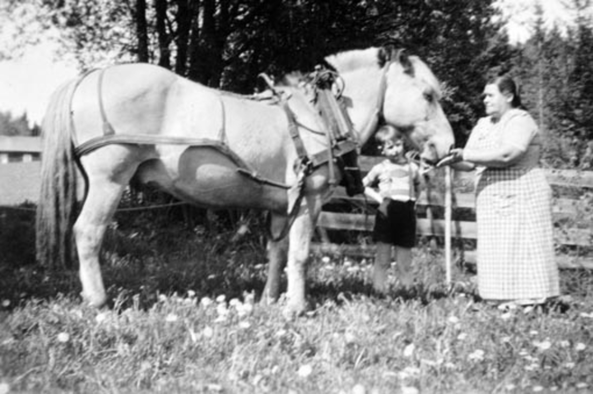 Anno Domkirkeodden, Inga Olsdatter Linnerud (1899-1968) med hesten Blakken på tunet i Linnerud, Nes, Hedmark. Gutten er Bjørn Haug f.1947.