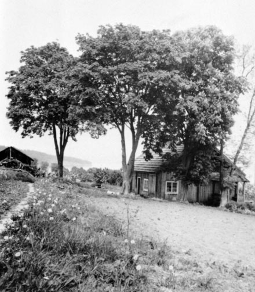 Anno Domkirkeodden, Eksteriør. Husmannsplassen Bekken, Grefsheim, Nes, Hedmark. Tuntre.