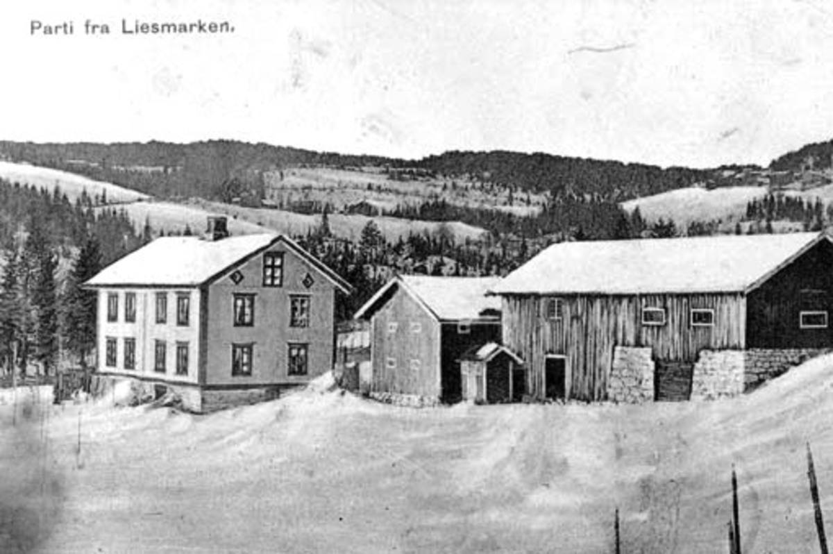 Anno Domkirkeodden, Eksteriør, gardsbruk, Nygaard landhandleri, uthus, Lismarka, Ringsaker.