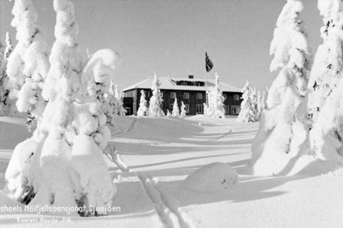 Anno Domkirkeodden, Eksteriør Mengshoel Høyfjellspensjonat, Sjusjøen. Vinter med snødekte trær. Mye snø. Postkort.
