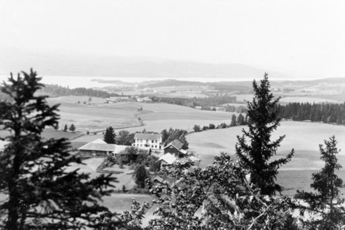 Anno Domkirkeodden, Utsikt mot Ringsaker kirke og Mjøsa. I forgrunn er Seberg, Samsal og Sveinhaug lengst borte.