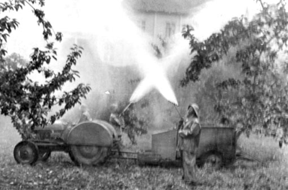 Anno Domkirkeodden, Sprøyting i frukthagen på Aske nordre, Nes, Hedmark. Traktor med tank. Folk i regnsdress som sprøyter.