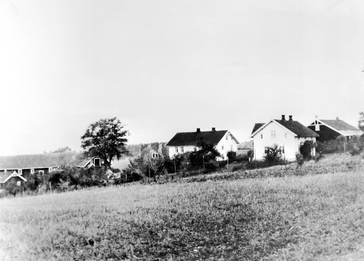Anno Domkirkeodden, Gardsbruket Bredvold, Nes, Hedmark med hovedbygning, føderådsbygning, låve og stabbur.