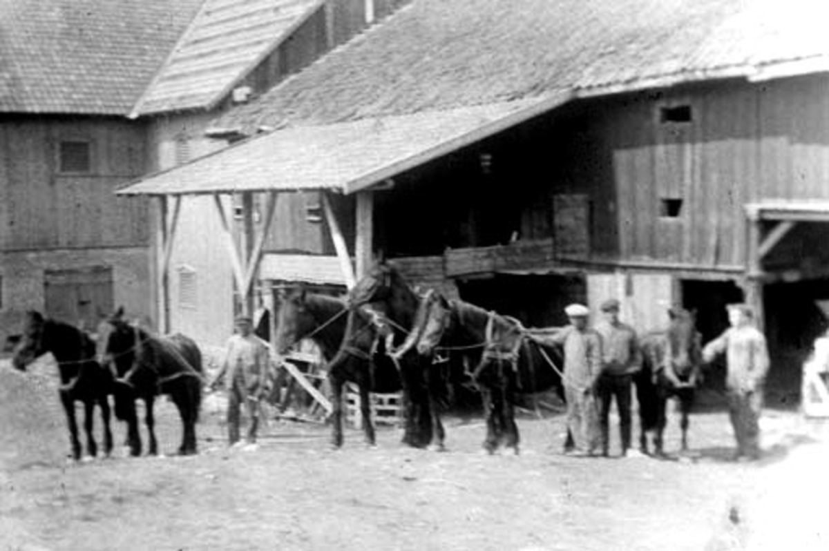 Anno Domkirkeodden, Folk og hester foran trøskelåven på Mengshoel, Nes, Hedmark.