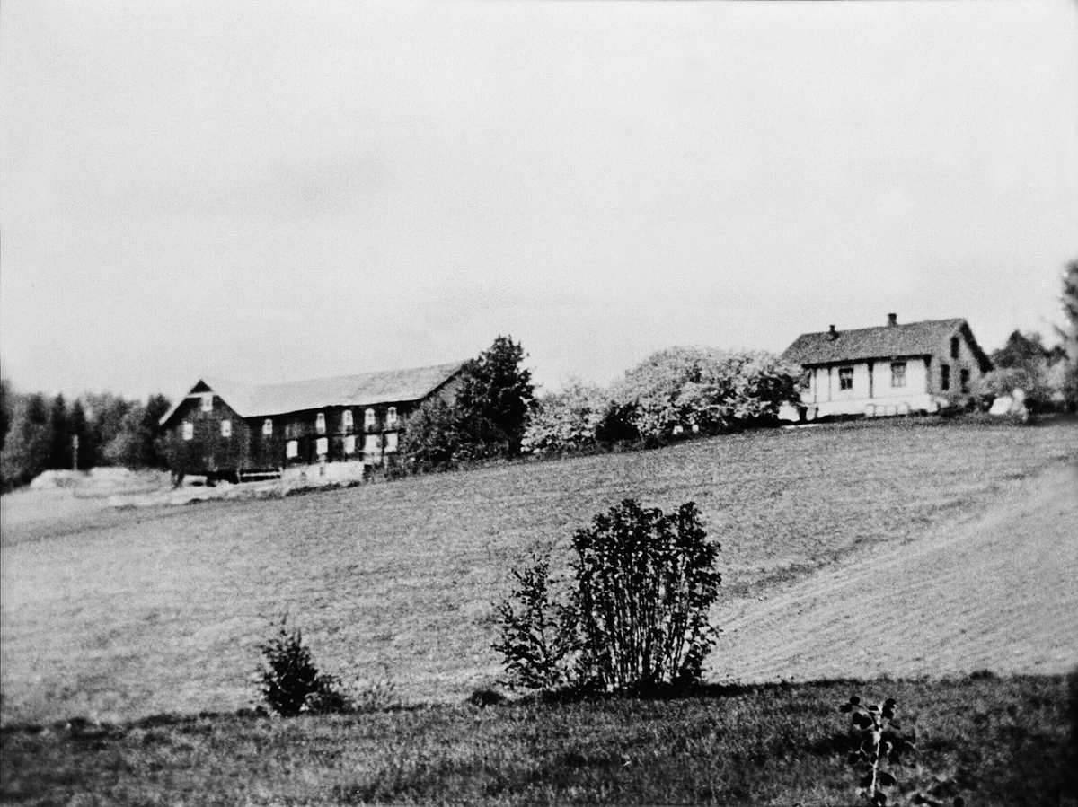 Anno Domkirkeodden, Eksteriør, gardsbruk, Gubberud, Nes, Hedmark.