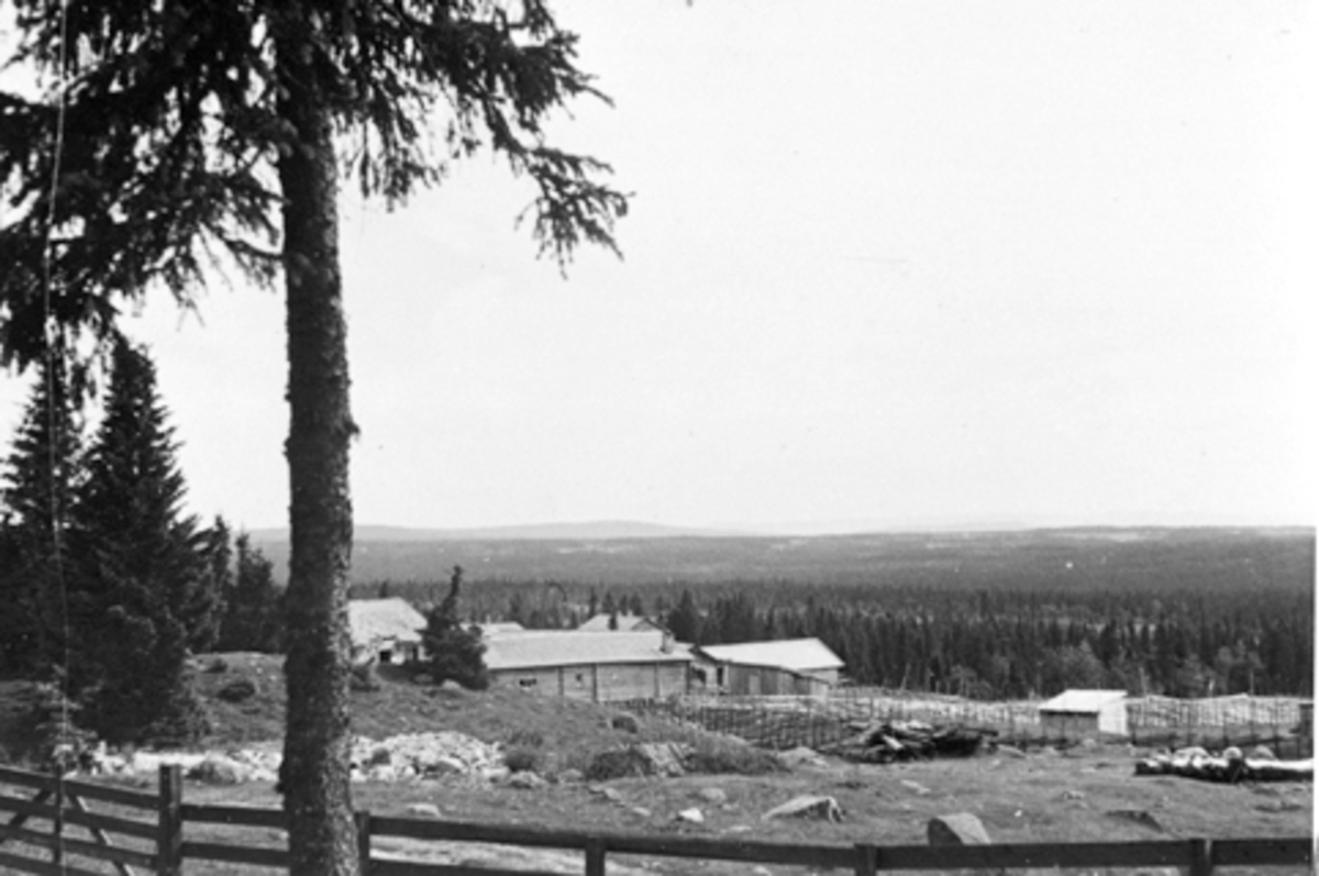 Anno Domkirkeodden, Bjønnåssetra etter at Gudsås ble flyttet til Hedmarksmuseet. Bjønnåsen, Ringsaker.