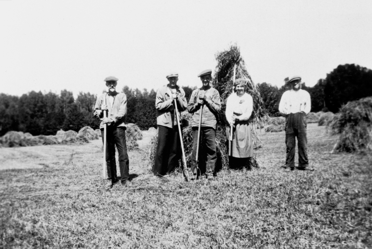Anno Domkirkeodden, Slåttonn på Helgeby, Nes, Hedmark. Arbeidsfolk fra Snekkersveen med høyriver foran høysåte.