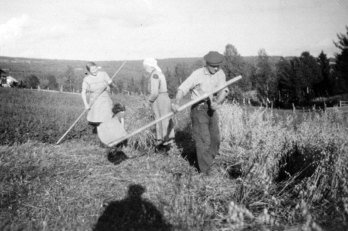 Anno Domkirkeodden, Slåttonn med ljå, Vesteng, Furnes, Ringsaker. Fra venstre er Karen Stensrud, Syverine Vesteng, Hans Vesteng.