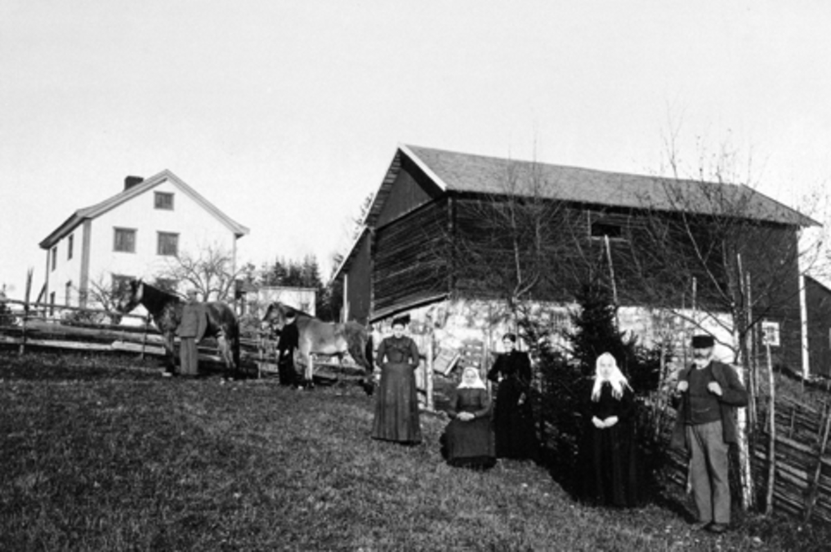 Anno Domkirkeodden, Eksteriør, gardsbruk, Høgsveen, Furnes, Ringsaker. Folk på tunet.