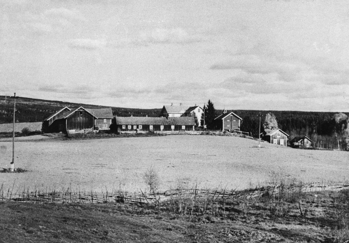 Anno Domkirkeodden, Gardsbruk, Arnkværn gård, Furnes, Ringsaker. Med alle husa på tunet før mye ble revet.