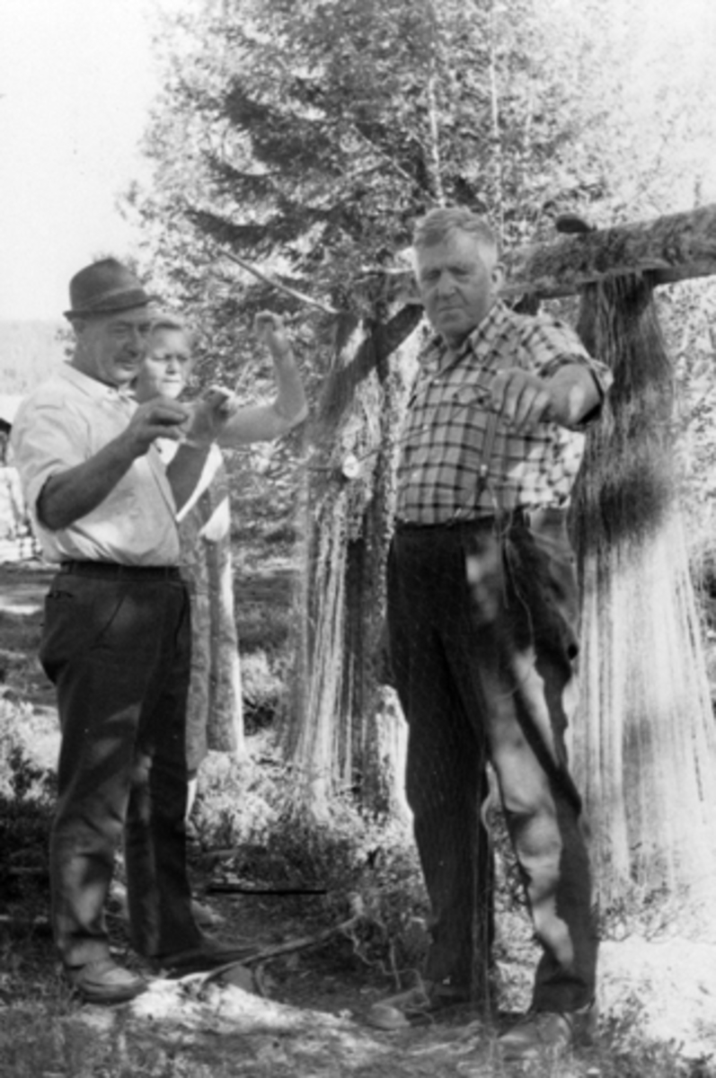 Anno Domkirkeodden, Rensing og tørking av fiskegarn ved Brumundsjøen, Furnes Almenning. Albert Svendsen, Marte Svendsen, Peder Taasaasen.