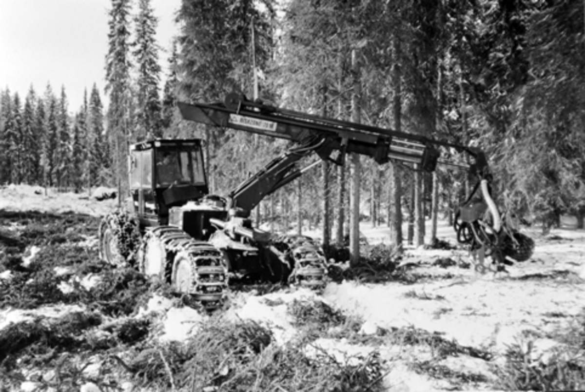 Anno Domkirkeodden, Skogsmaskin, Valmet 892, felling av tømmer, Furnes Almenning.