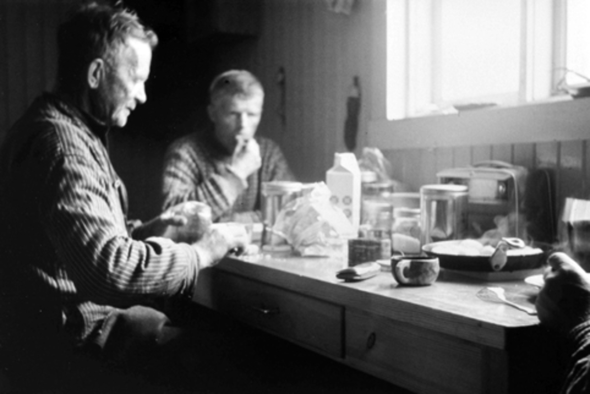 Anno Domkirkeodden, Dugurdskvile i Grønmyrkoia, Furnes Almenning. Fra venstre er Martin Kampenhøy, Reidar Pedersen.