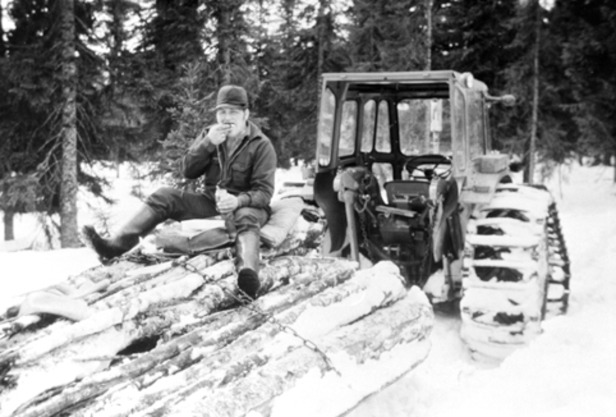 Anno Domkirkeodden, Vedkjøring med traktor i Voldmarka, Furnes Almenning. Svein Ellefsæter sitter på lasset og spiser matpakka.