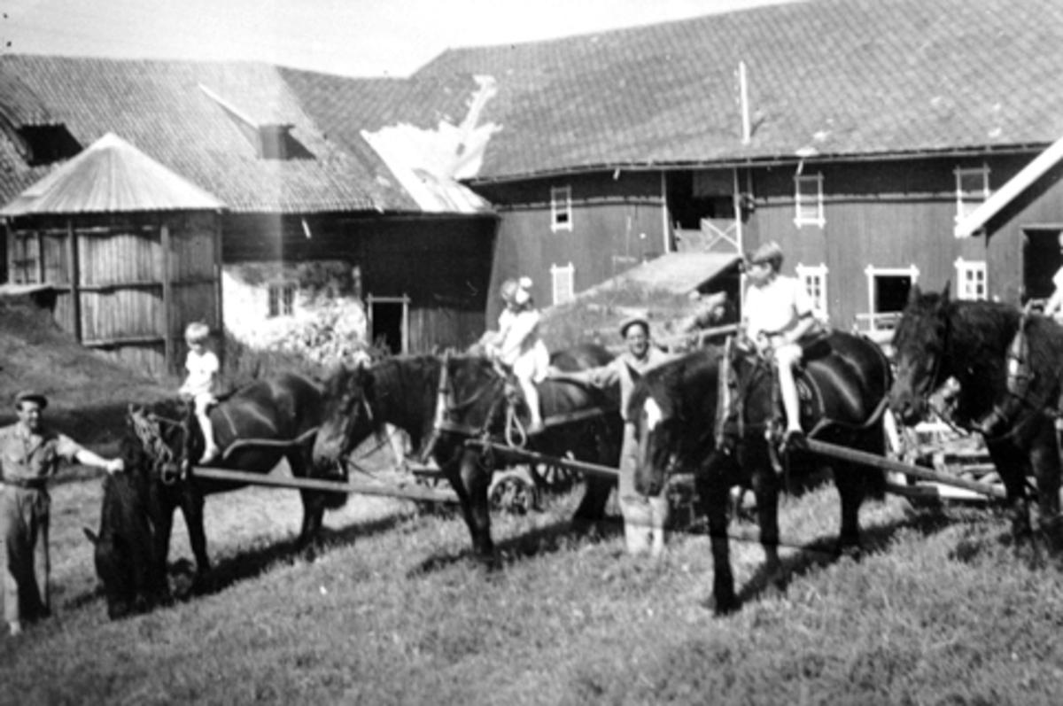 Anno Domkirkeodden, Eksteriør. Gardsbruk. Sju voksne og barn oppstillt foran låve på Dæli gård, Brøttum, Ringsaker. Fire hester. Silokum i tre.