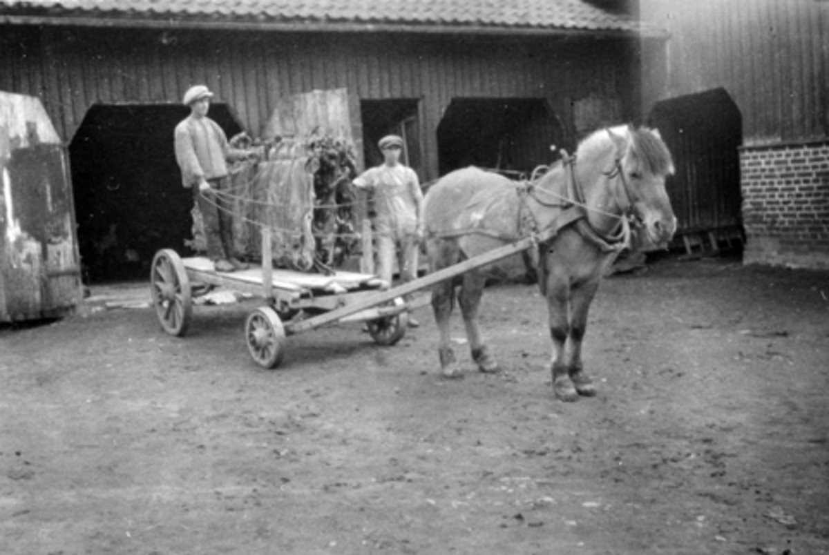 Anno Domkirkeodden, Bruvold mølle, Moelv, Ringsaker. Garveriet. Hest og vogn med transport av huder.